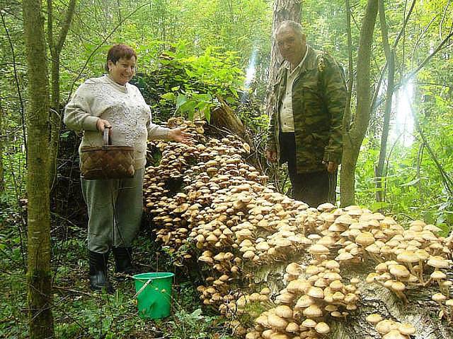 Винегрет фоток на пятницу...