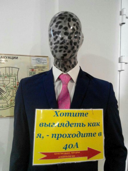 Несколько фоток