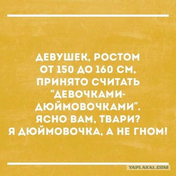 Смешные комментарии из социальных сетей 27.01.2017