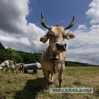 На Дмитрии Медведеве заметили новые «умные» часы для капитанов и любителей рыбалки