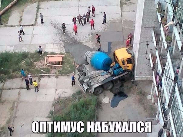 Подборка безудержного веселья