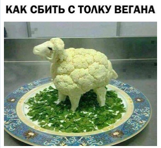 Веганы, выгде?