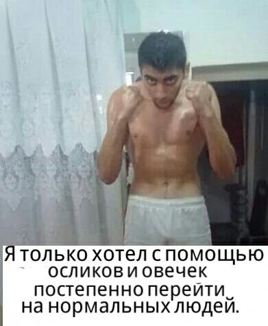 "У мальчика кровь бурлит! Зачем отчислять?"