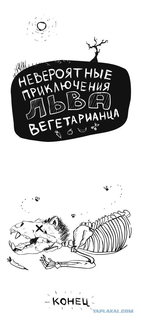 "Веганы совсем долбанулись и начали убивать"