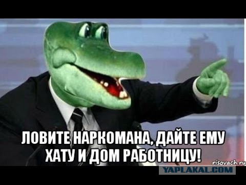 Шо Опять? Прямые трансляции майдана в Киеве