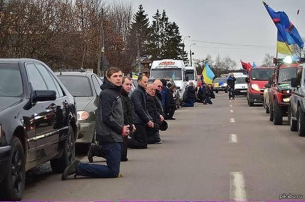 Вам срут в голову