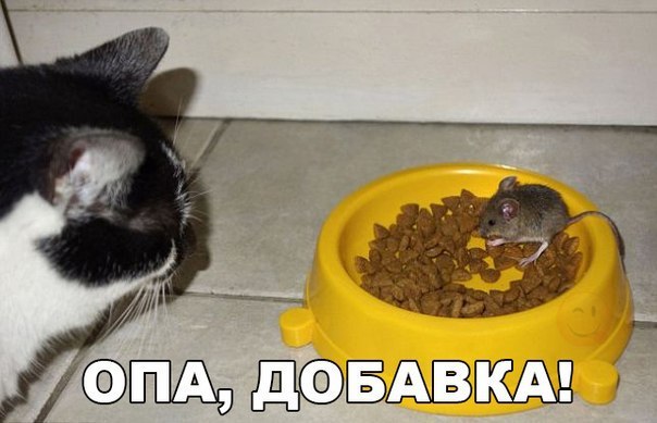 Подборка разного из сети