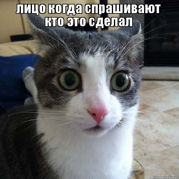 Миллиарды рублей собирают с граждан и… сливают в канализацию!