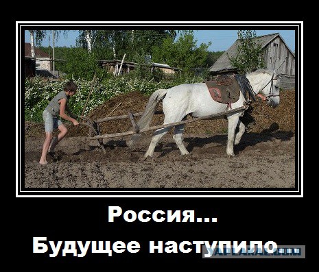 Ученые России призвали остановить «вредоносную деятельность» Роскомнадзора