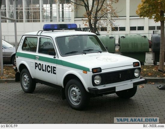 Неожиданная встреча в Сиэтле