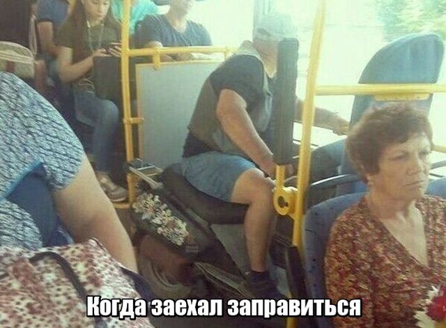 Прикольные картинки
