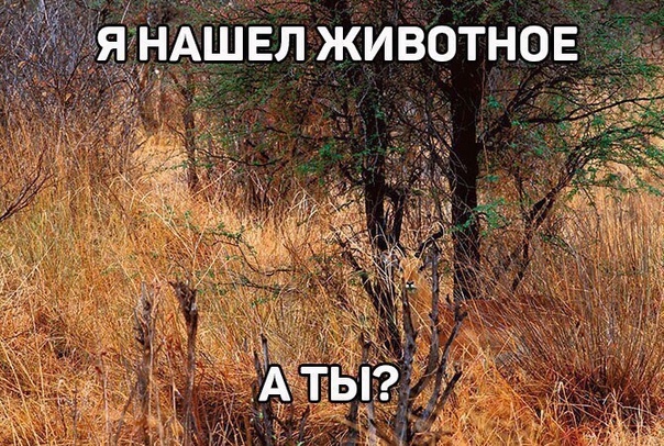 Немного картинок в эту субботу