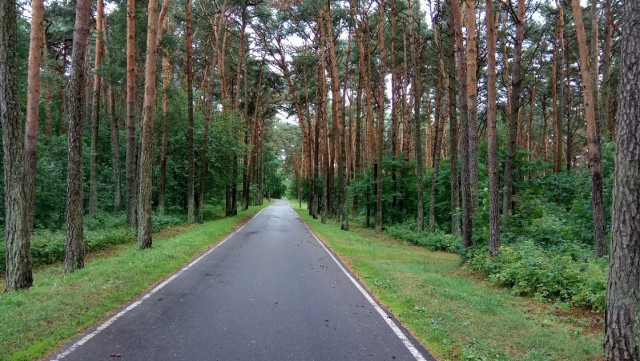 Белорусские просторы