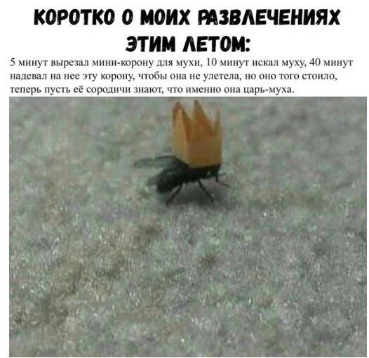 Немного картинок на выходные