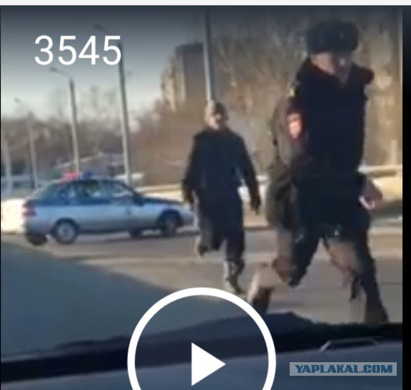 На Копейском шоссе, мужик кидался на полицейских с ножом