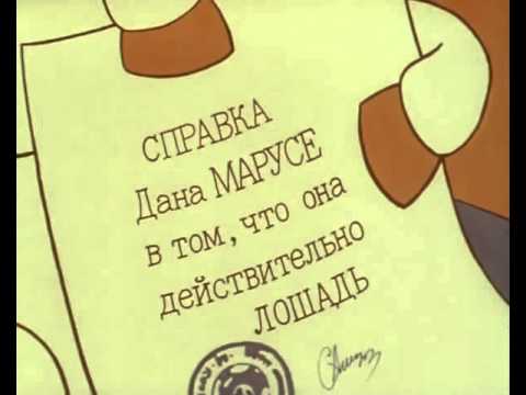 Битва за звание почётного конюха. Виторган избил Богомолова