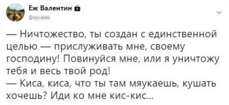 Анекдоты, соц-сети и картинки с надписями