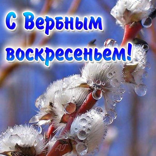 Самая лютая жесть с женских форумов. Феминистам и людям со слабой психикой просмотр запрещен!