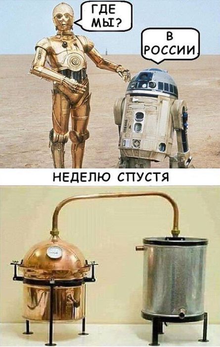 Похитители коров