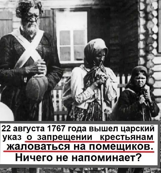 За полгода россияне «оскорбили власть» 45 раз