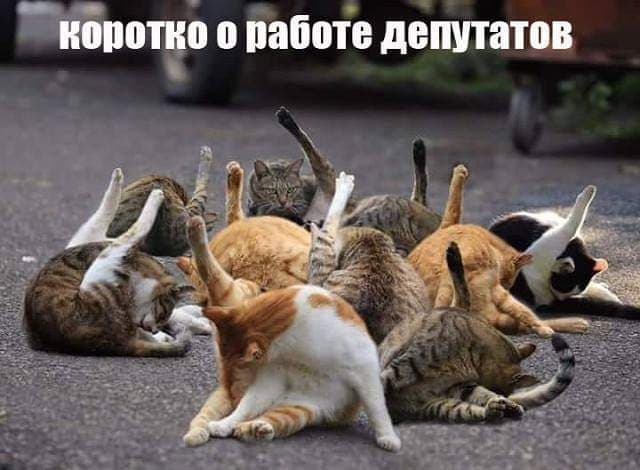 Россиянам запретят выкладывать в интернет неприглядные фотографии страны