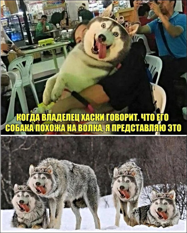 Чуток картинок 07.02.20.