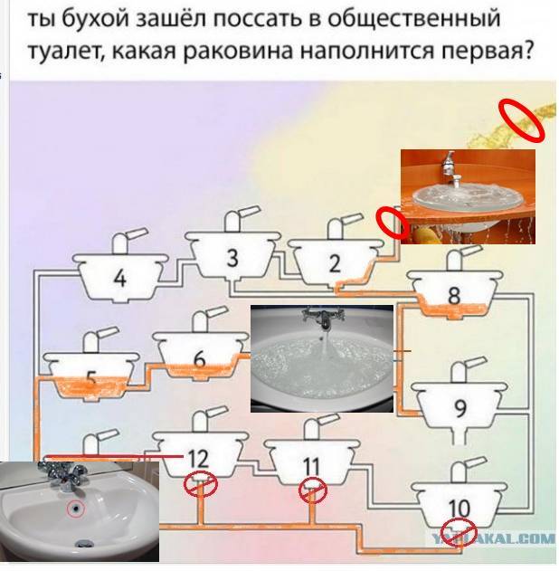 Чуток картинок 07.02.20.