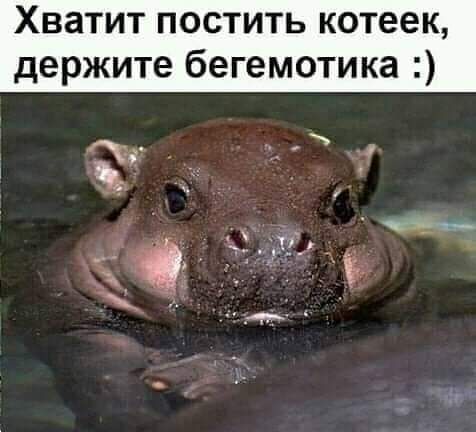 Чуток картинок 15.04.20