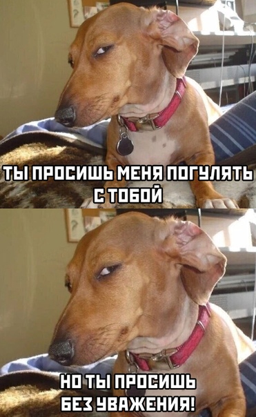 Немного картинок для настроения 18.04.20