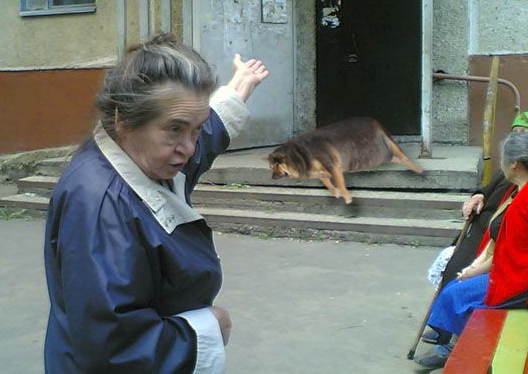 Фотожаба: О чем же думает собака?....