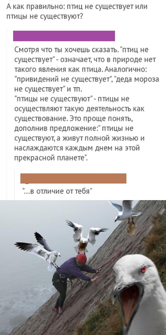 Так себе картинки 13.06.20