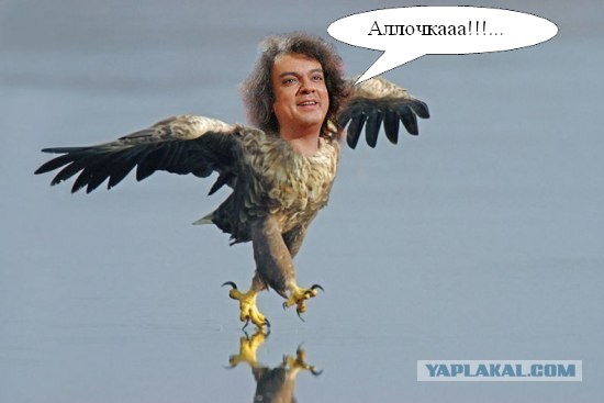 Суровый орел