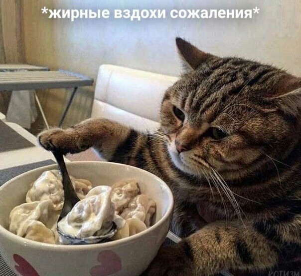 Что бывает, если оставить на минутку еду без присмотра