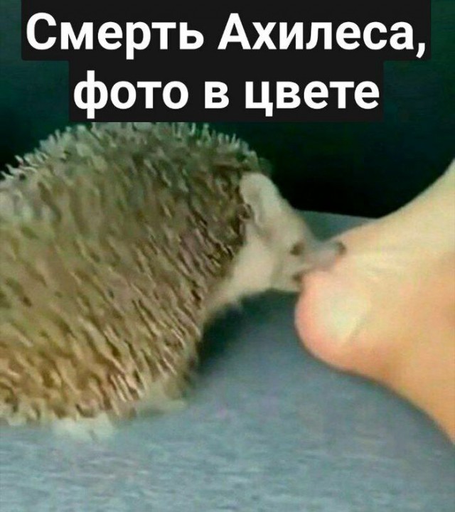 Немного картинок для настроения 08.09.20