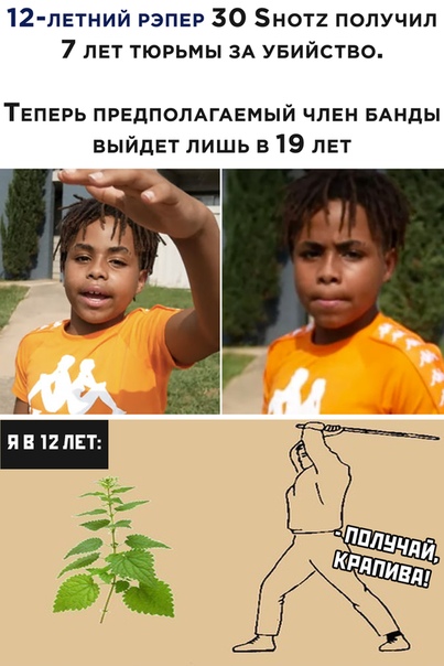 Юмор и прикольные картинки