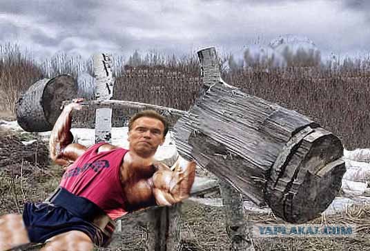 Фотожаба: Арни и бревно