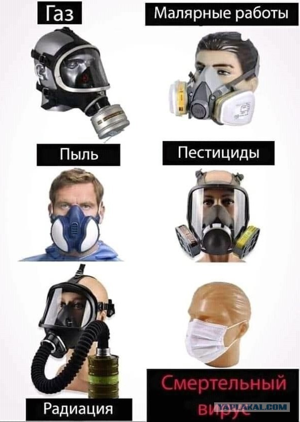 Мои картинки за 2020
