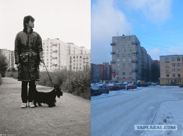 Дом, в котором жил Цой