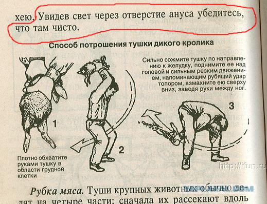 Страшная правда про макароны