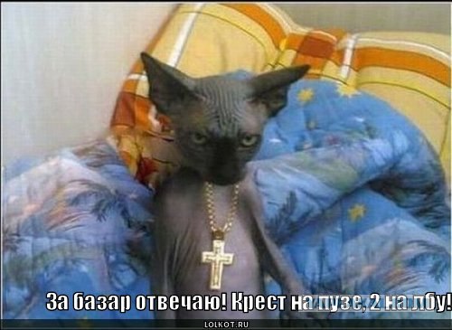 Драка с подполковником