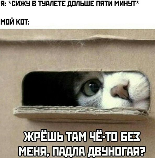 Картинки и мемы для настроения 13.04.2021