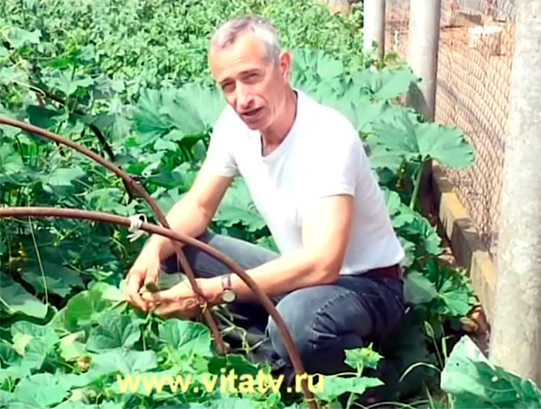 Берите кто хотите