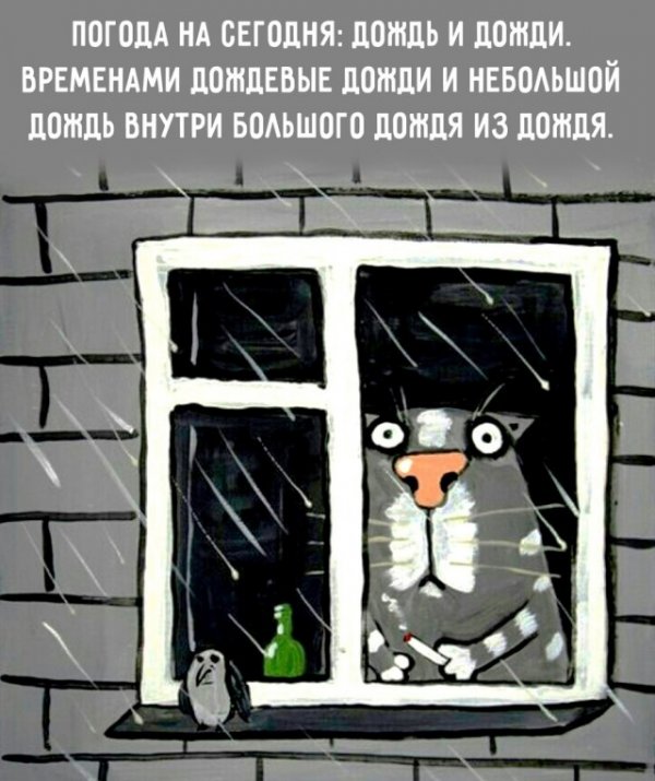 Прикольные и просто красивые картинки 12.10.2021