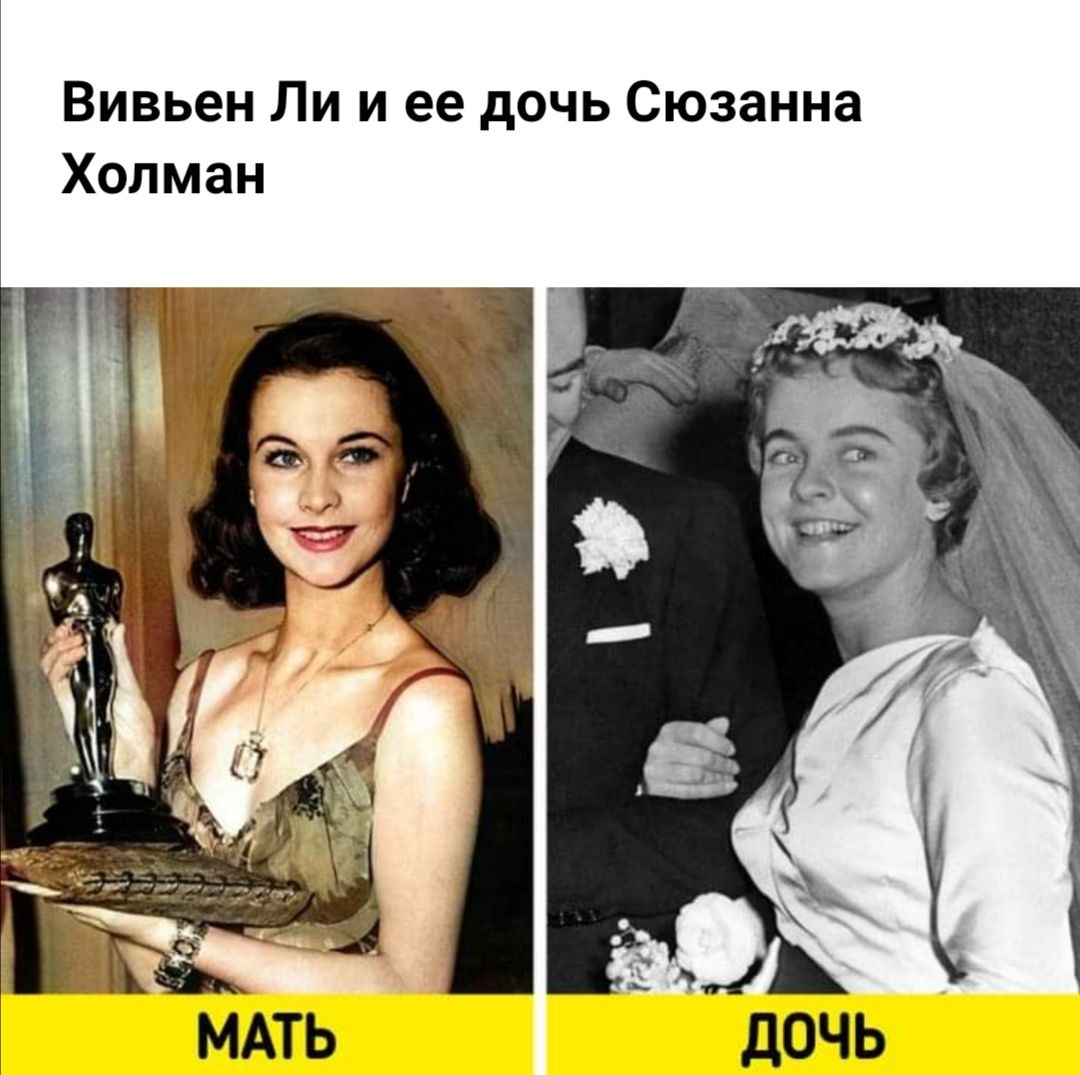 Вивьен ли и ли Холман