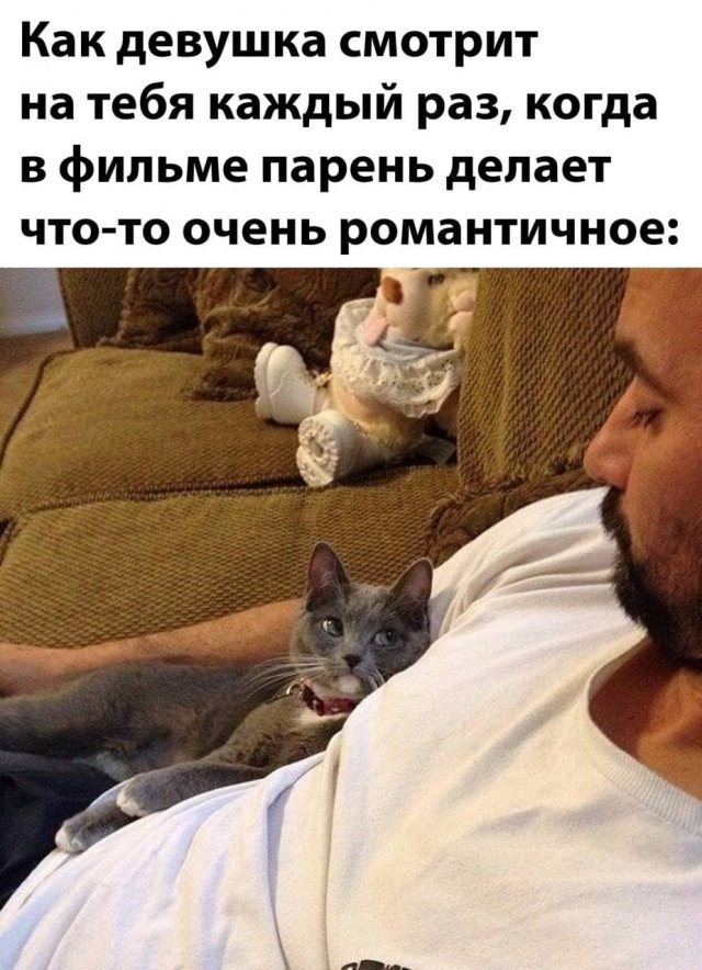 Так себе картинки 30.01.22