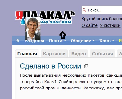 Как поймать собаку