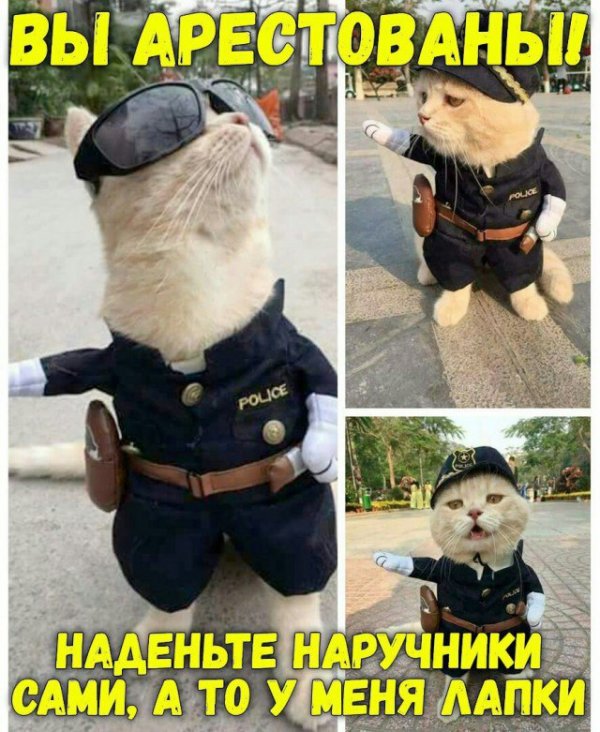 Баянисто-небаянистый юмор 28.03.22