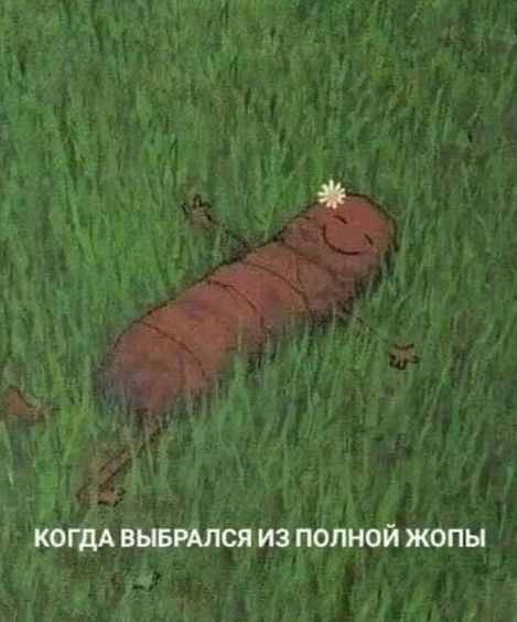 Встречный поезд