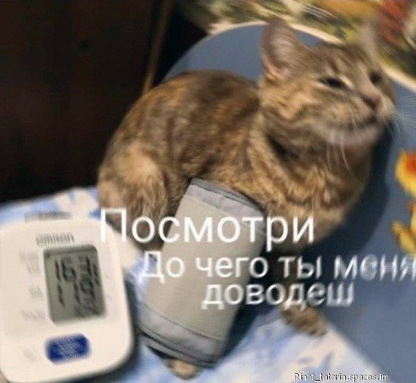 Картинки и мемы для настроения - 29