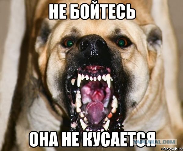 А собсно да, чё волноваться то?